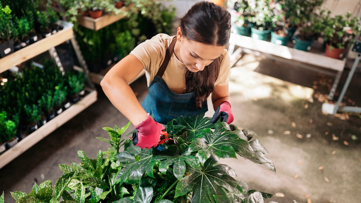 woman-tends-plants-in-greenhouse-inner-work-retention-strategy